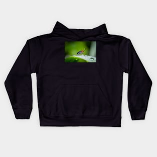 Unique and organic photo of a leaf beetle crossing a slippery dew covered leaf Kids Hoodie